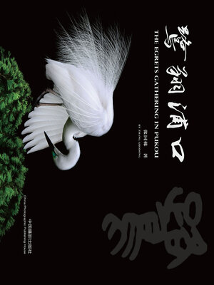 cover image of 鹭翔浦口